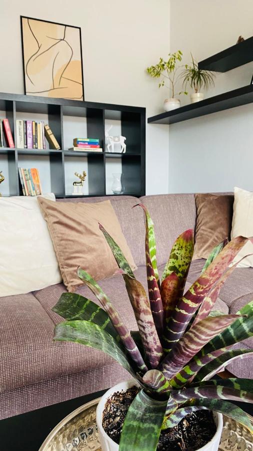 Apartment Mira Ruzomberok Εξωτερικό φωτογραφία